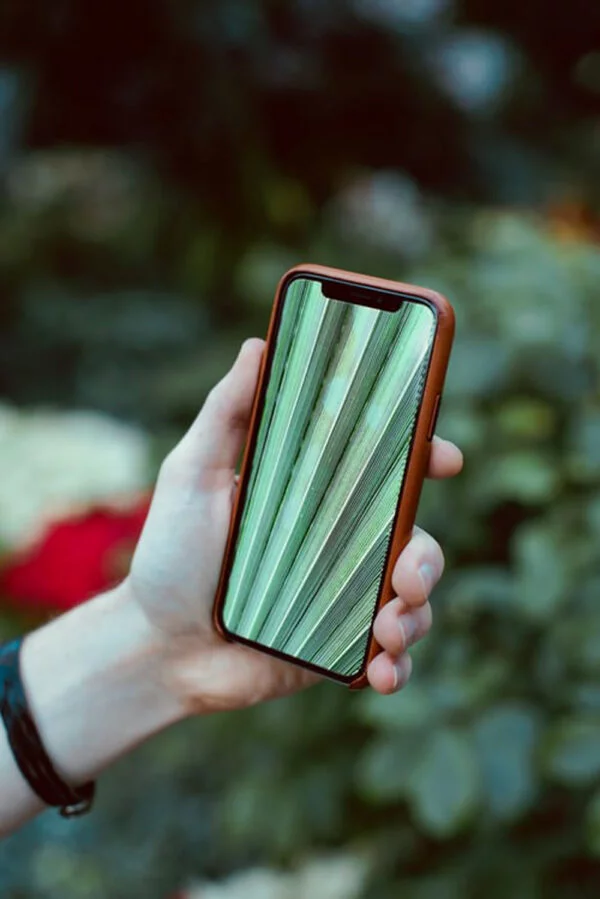 مایع ظرفشویی تست مدل Apple حجم 1000 میلی لیتر